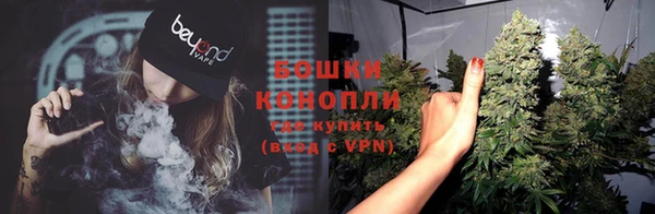 ПСИЛОЦИБИНОВЫЕ ГРИБЫ Елизово
