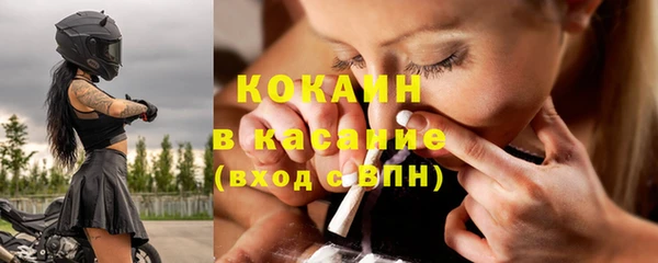 ПСИЛОЦИБИНОВЫЕ ГРИБЫ Ельня