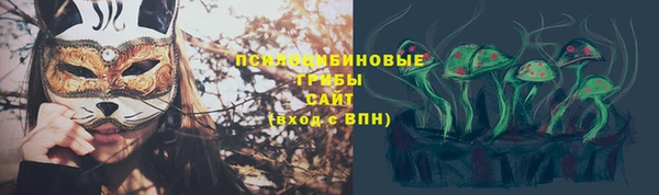 ПСИЛОЦИБИНОВЫЕ ГРИБЫ Ельня