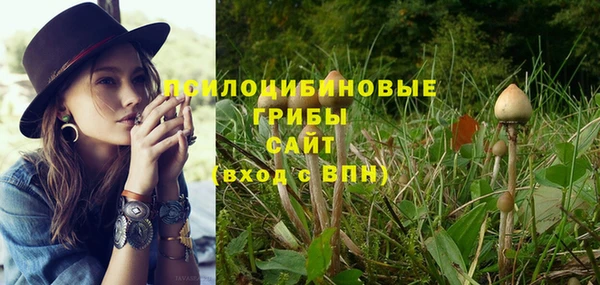 молекула духа Елабуга