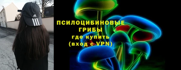 ПСИЛОЦИБИНОВЫЕ ГРИБЫ Ельня