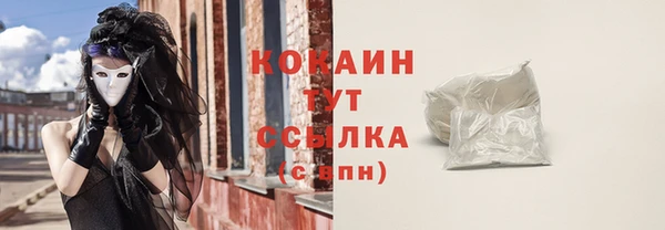 ПСИЛОЦИБИНОВЫЕ ГРИБЫ Елизово