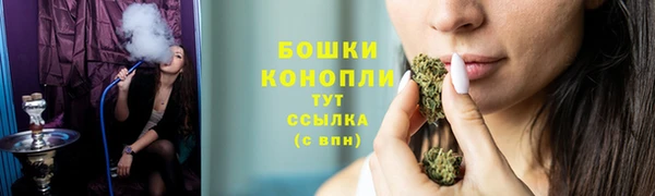 СК Новодвинск