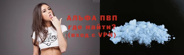 ПСИЛОЦИБИНОВЫЕ ГРИБЫ Елизово