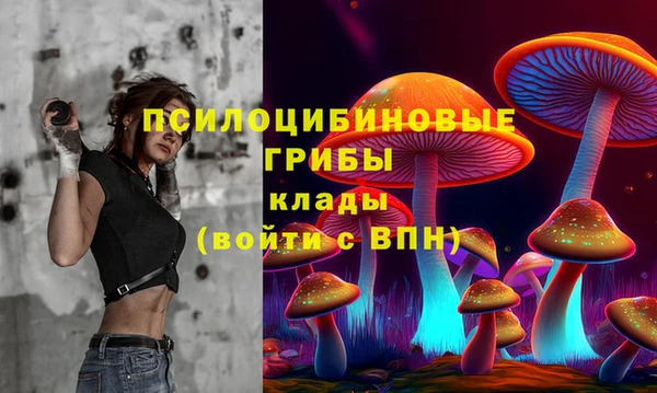 прущая мука Щёлкино