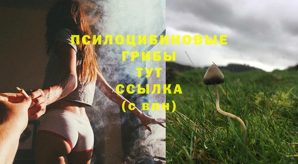 ПСИЛОЦИБИНОВЫЕ ГРИБЫ Ельня