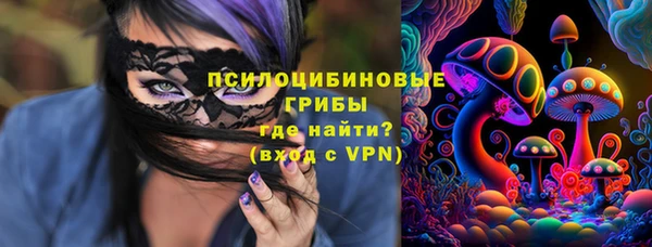 ПСИЛОЦИБИНОВЫЕ ГРИБЫ Елизово