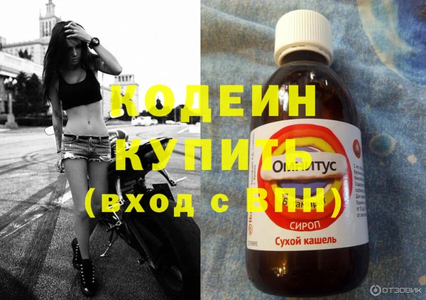 ПСИЛОЦИБИНОВЫЕ ГРИБЫ Ельня