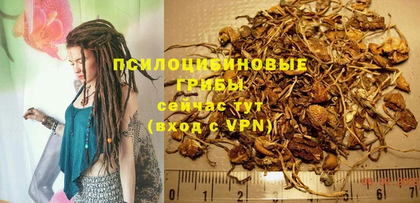 Альфа ПВП Нязепетровск