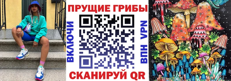 Псилоцибиновые грибы ЛСД  Питкяранта 