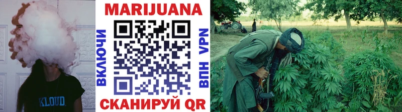 Каннабис SATIVA & INDICA  Питкяранта 